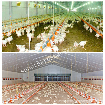 Equipo de alojamiento de aves de corral para pollo de engorde